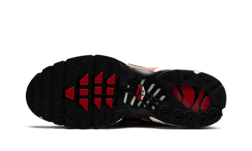 Nike Air Max Air Max Plus 'Black White University Red'